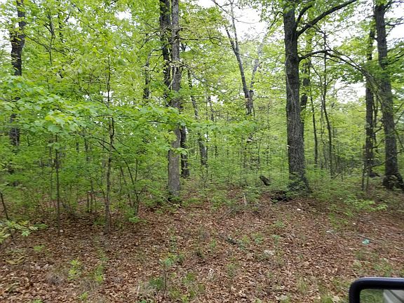 5th image of 249 Mountain Laurel Ln