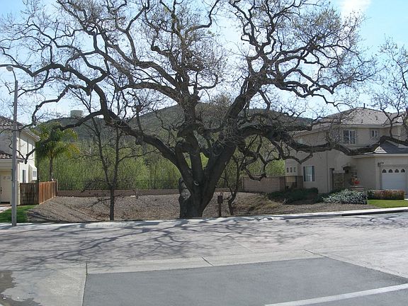 5th image of 3855 Lindsay Ct