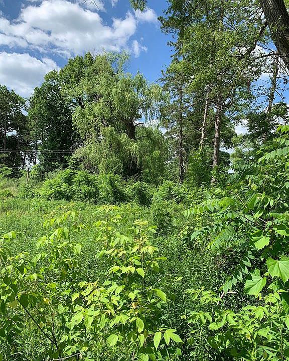 Hunter Rd, Brighton, MI 48114 MLS 20230051678 Zillow