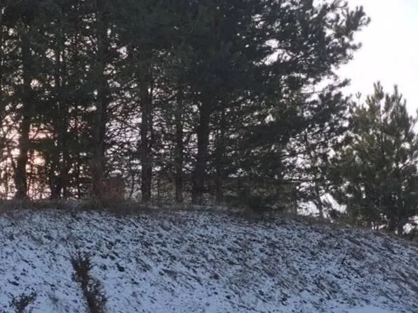 13225 S Coleman Rd, Empire, MI 49630