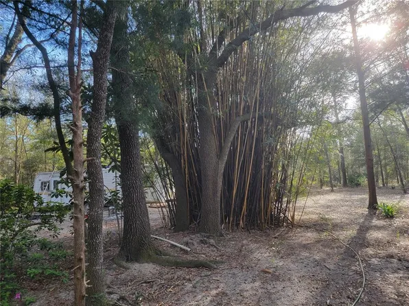 (undisclosed Address), Bronson, FL 32621