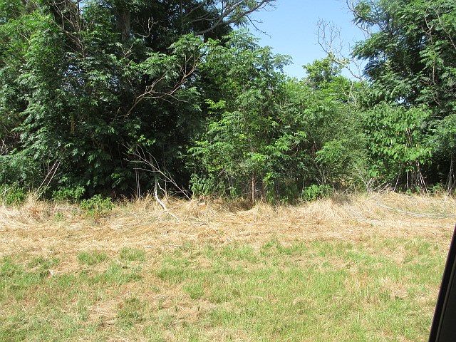 2nd image of 2479 Fm 2022