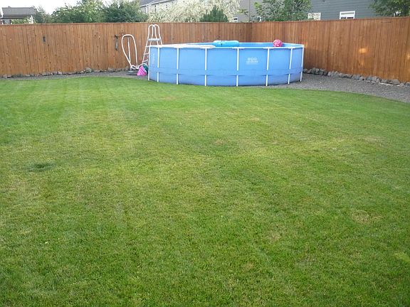 Great fenced backyard