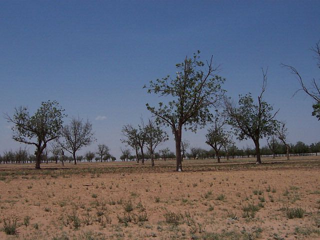 1st image of 11304 County Road 7100