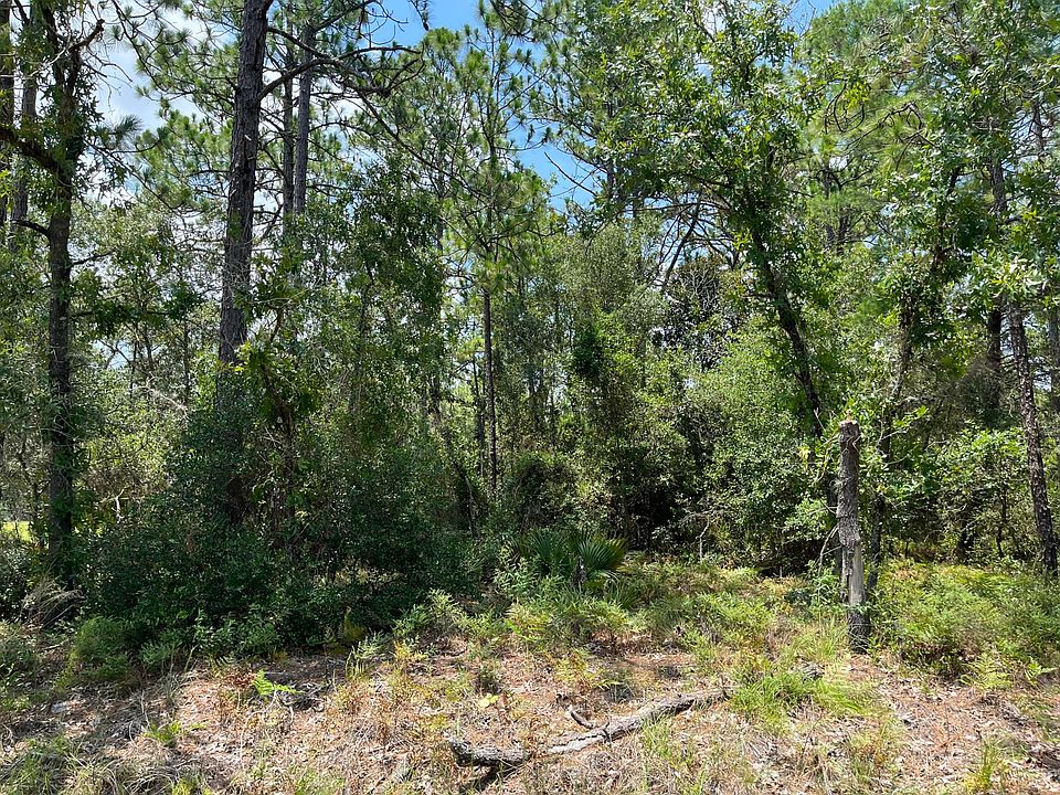 1st image of 9105 N Hawkweed Drive