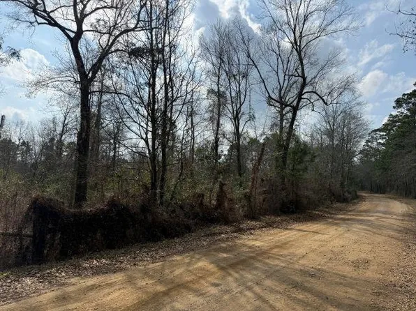 County Road 3107, Call, TX 75933