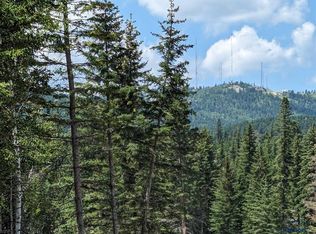 14 Overlook Ct, Lead, SD 57754