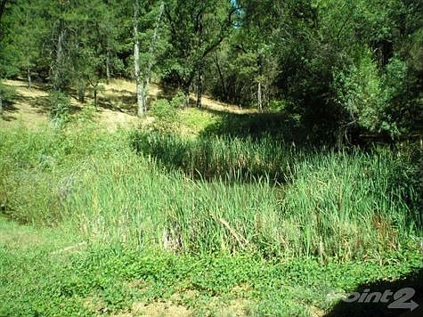 P7310041
