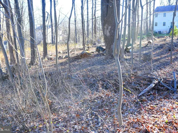 Apache Trl, Chester Gap, VA 22623