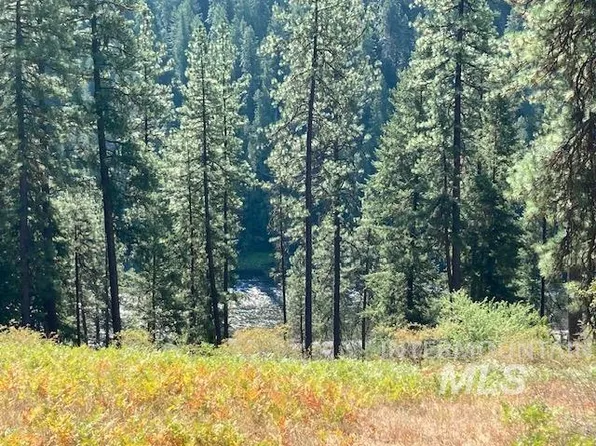 Suttler Creek Rd, Kooskia, ID 83539