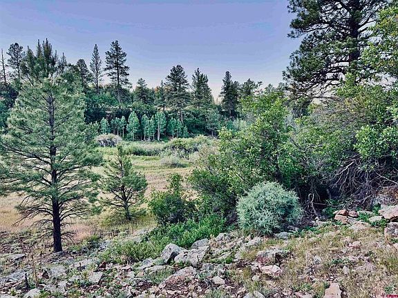 2nd image of 3898 N Pagosa Boulevard