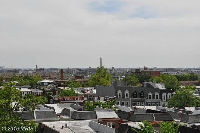 View from roof