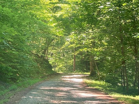 5th image of 271 Lauderback Gap Trl