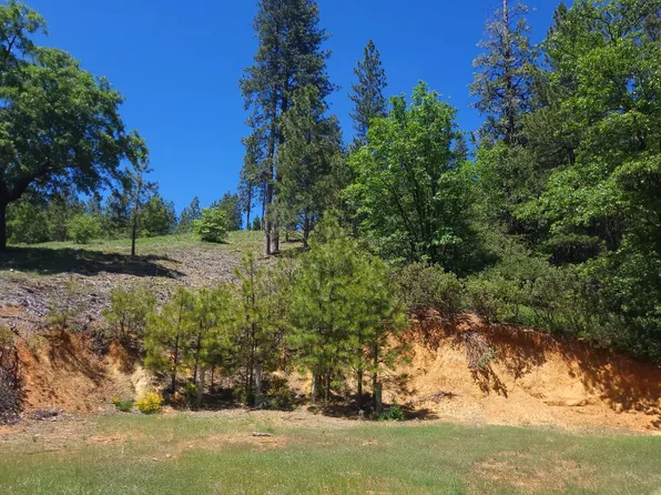 218 Cedar Dr, Hathaway Pines, CA 95233