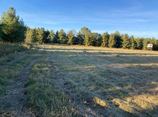Hummingbird Rd, Braham, MN 55006