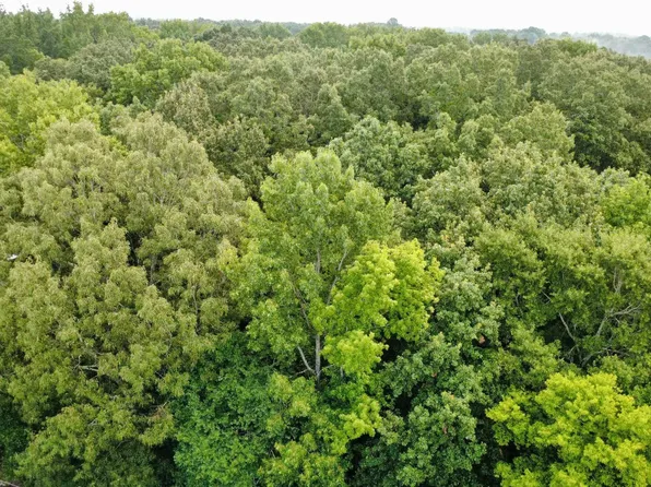 1 ACRE Honea Rd, Hazel Green, AL 35750