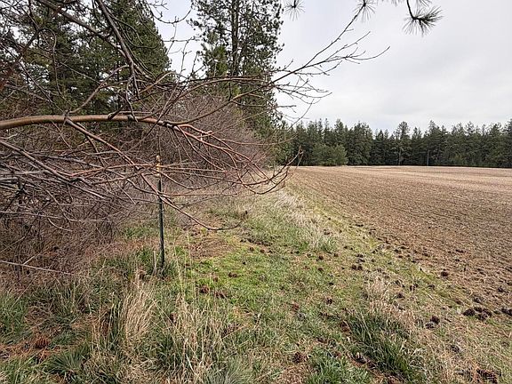 4th image of Sandhill Rd