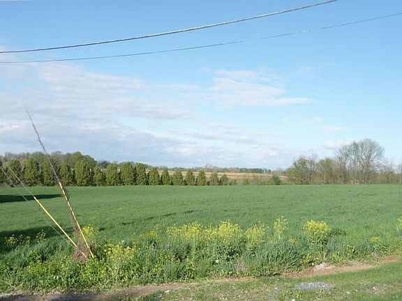 Farmland views