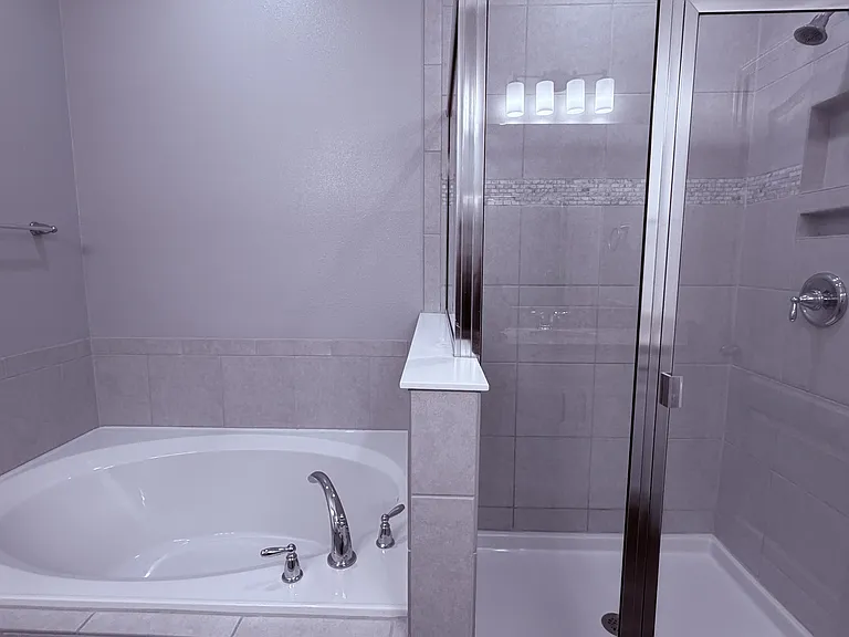 Master bath garden tub and walk-in shower