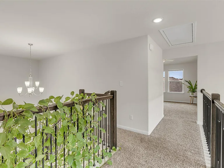 223 Balsam St — Photo 28