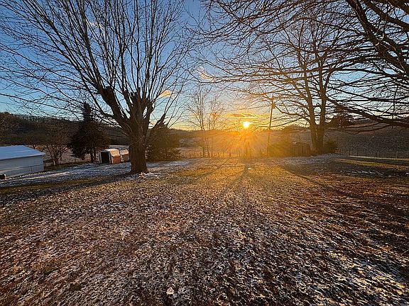 Spacious, peaceful,backyard.