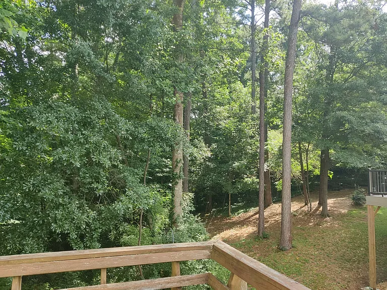 view from deck