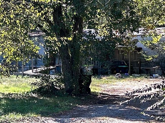 3rd image of 8117 Camelia Dr