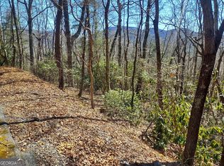 LOT 41 Pipetrack Gap Rd, Scaly Mountain, NC 28775