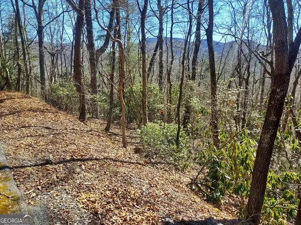 LOT 41 Pipetrack Gap Rd, Scaly Mountain, NC 28775
