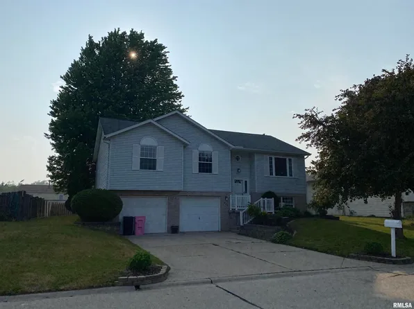 821 Birchwood Dr, Colona, IL 61241