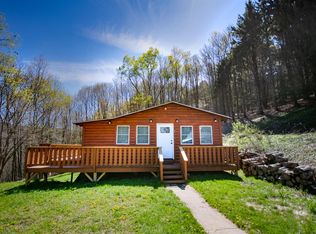 325 Dunk Hill Rd, Walton, NY 13856