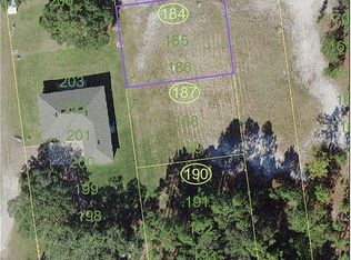 Dane Way, New Eden Saint Cloud, FL 34771