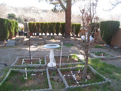 Have your garden