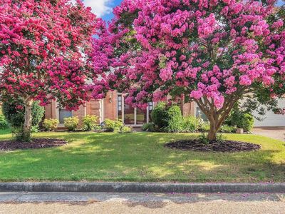 7584 Dexter Hills Dr, Cordova, TN, 38016