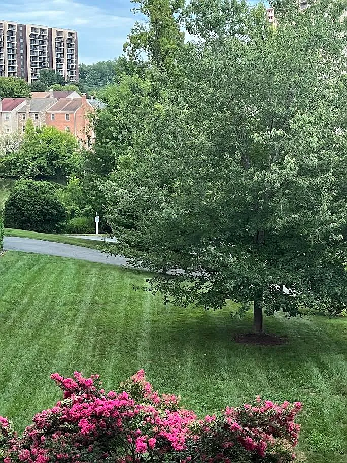 Democracy Blvd, Bethesda — Photo 4