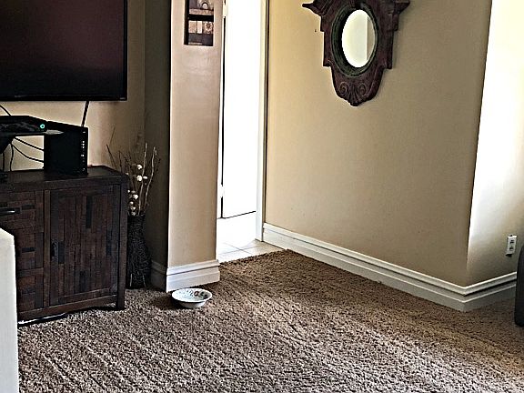 3rd image of 129 Fairfax Dr