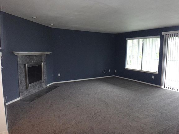Wood burning fireplace