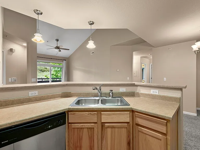 555 Cougar Bluff Point #205 — Photo 13
