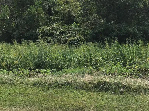 LOT 42 Brooke St, Chilhowie, VA 24319