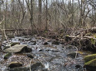 Pine Grove Rd, Tellico Plains, TN 37385