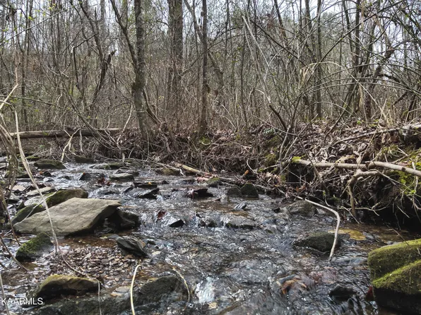 Pine Grove Rd, Tellico Plains, TN 37385