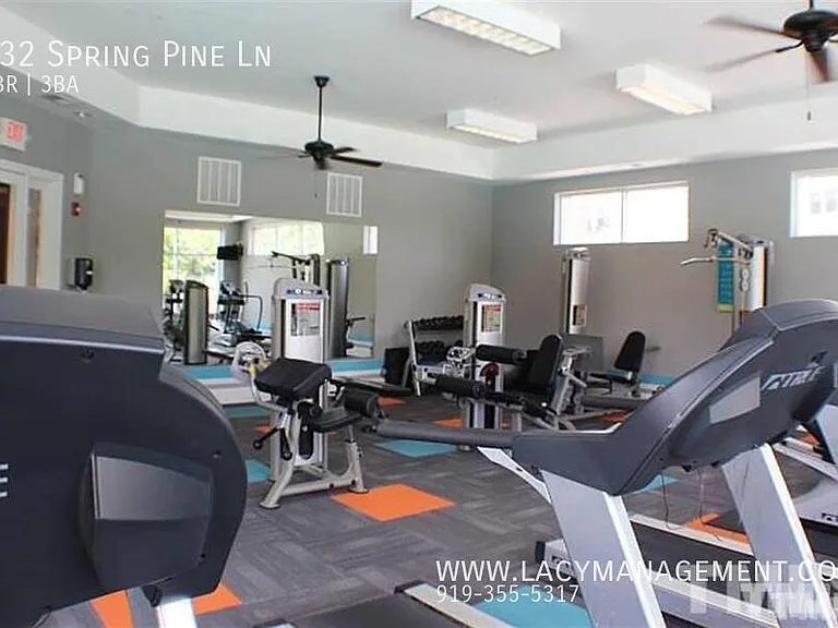 132 Spring Pine Ln — Photo 33