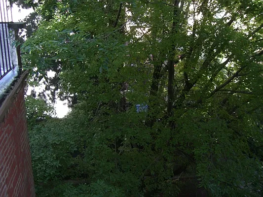 Rented by Pine Management, Inc. | media 14