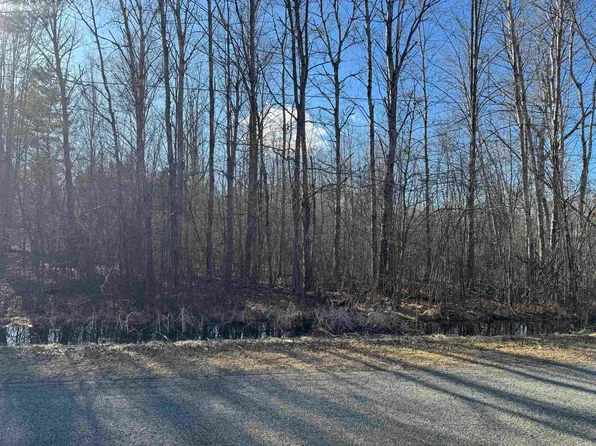 Vl S Castor Rd, Shepherd, MI 48883