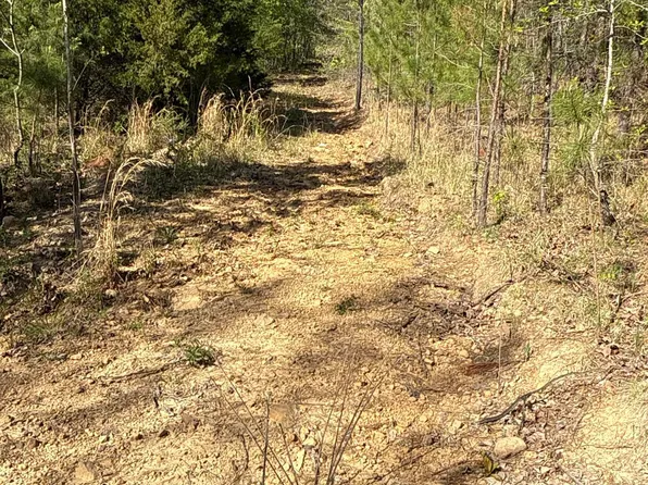 (undisclosed Address), Clinton, AR 72031