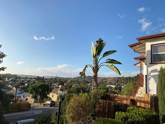 City View from the House
