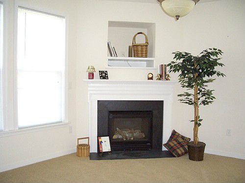 Gas fireplace in Family
