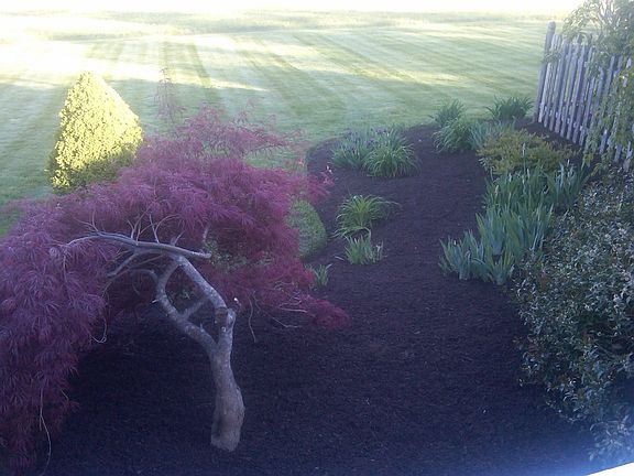 Professionally Landscaped