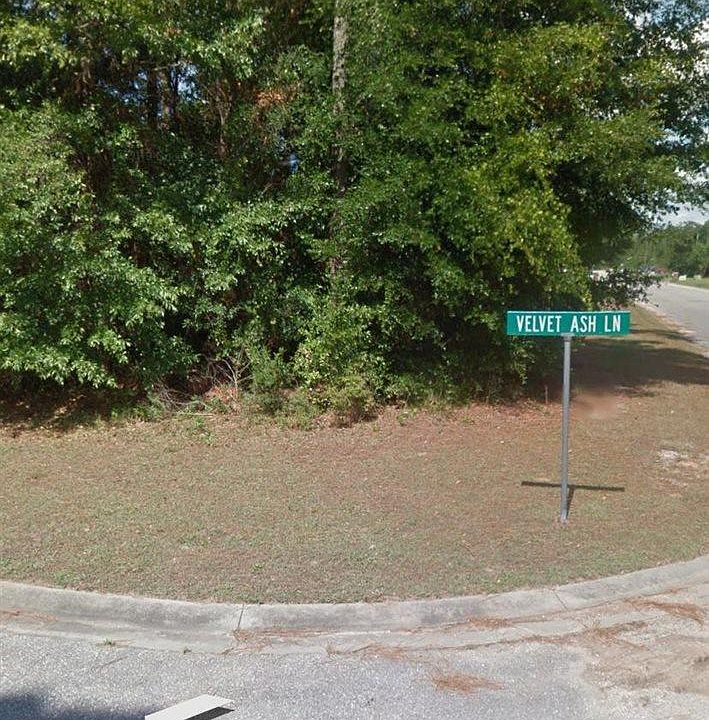 1st image of 10715 Velvet Ash Ln
