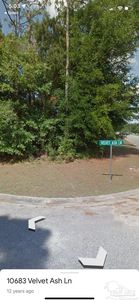 10715 Velvet Ash Ln, Lillian, AL, 36549
